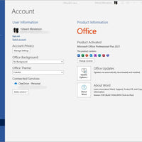 Microsoft Office 2021 Professional Plus