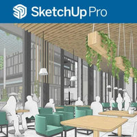 Sketchup Pro