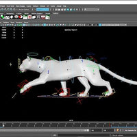 Autodesk Maya